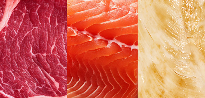 Proteins