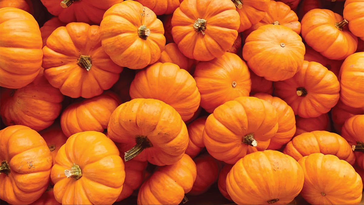 Salmon & Pumpkin Topper