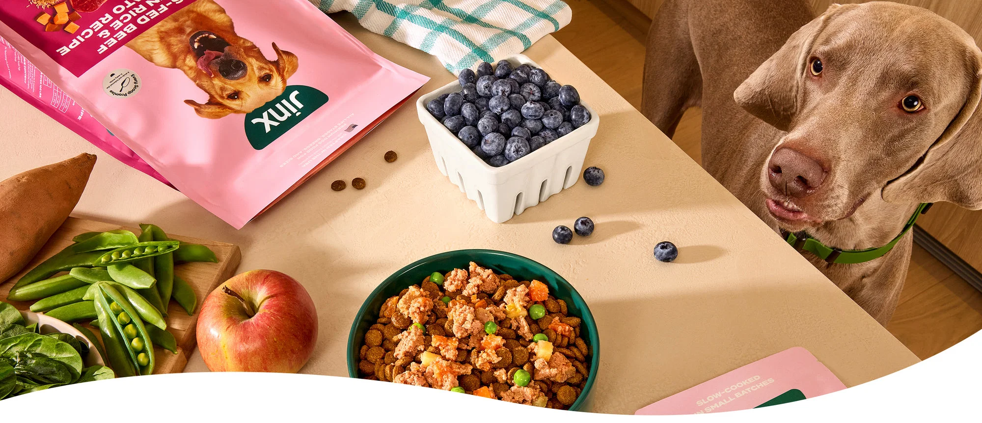 A Weimaraner looks over a table of fresh blueberries, apples and a bowl of Jinx Homemades