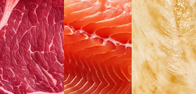 Raw beef, fresh salmon and chicken side by side
