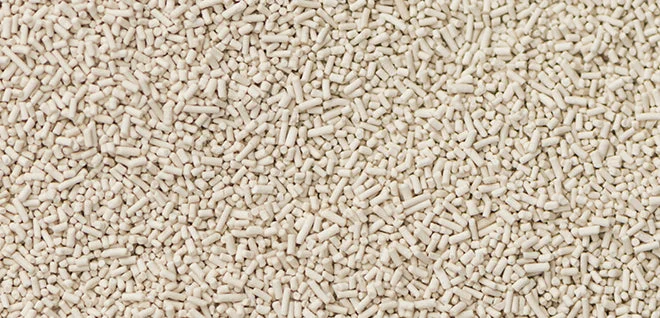 Beige probiotic kibble pieces up close