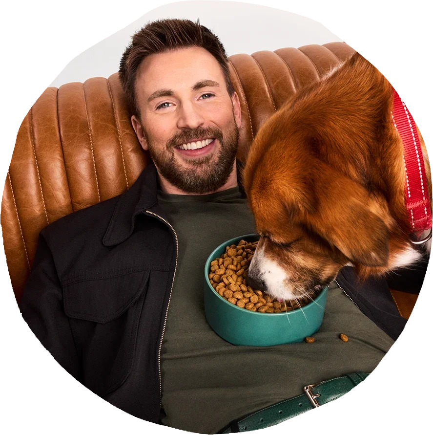 Chris Evans laughing on a leather couch beside a dog eating from a green bowl